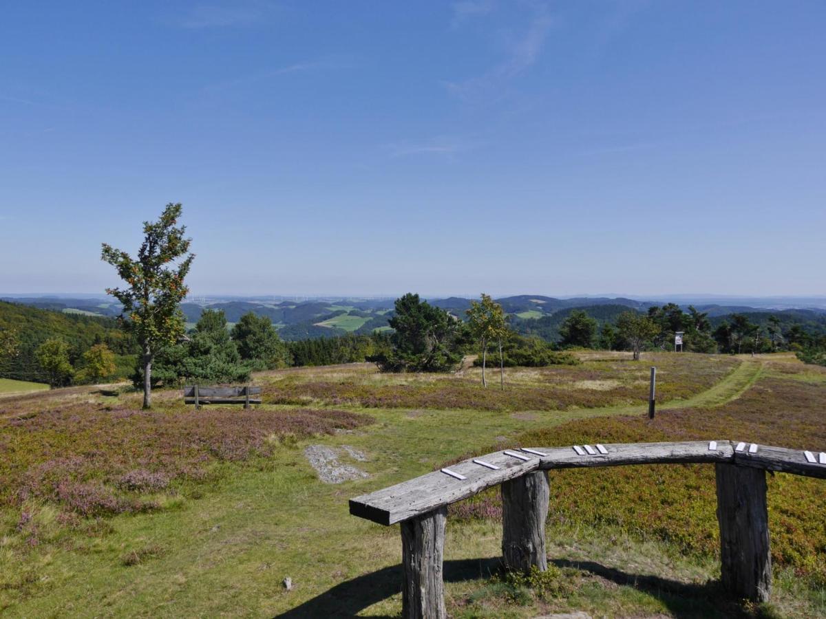 Fewo Blumes Bergfrieden Mit Meinecardplus Willingen  Kültér fotó