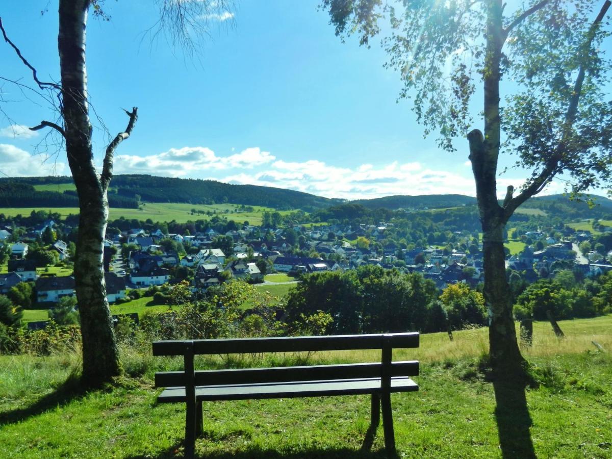 Fewo Blumes Bergfrieden Mit Meinecardplus Willingen  Kültér fotó