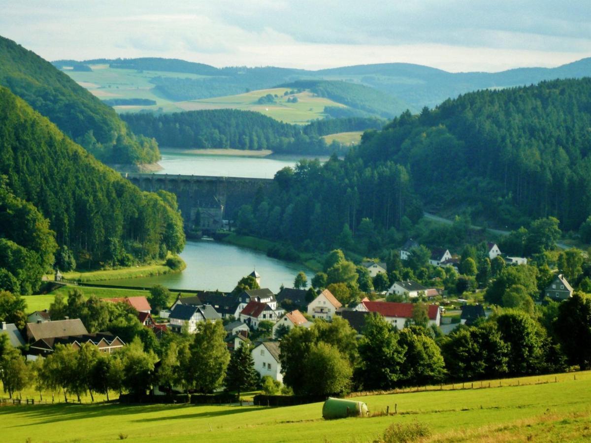 Fewo Blumes Bergfrieden Mit Meinecardplus Willingen  Kültér fotó