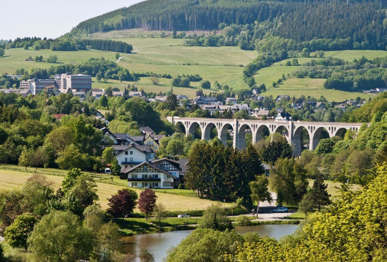 Fewo Blumes Bergfrieden Mit Meinecardplus Willingen  Kültér fotó