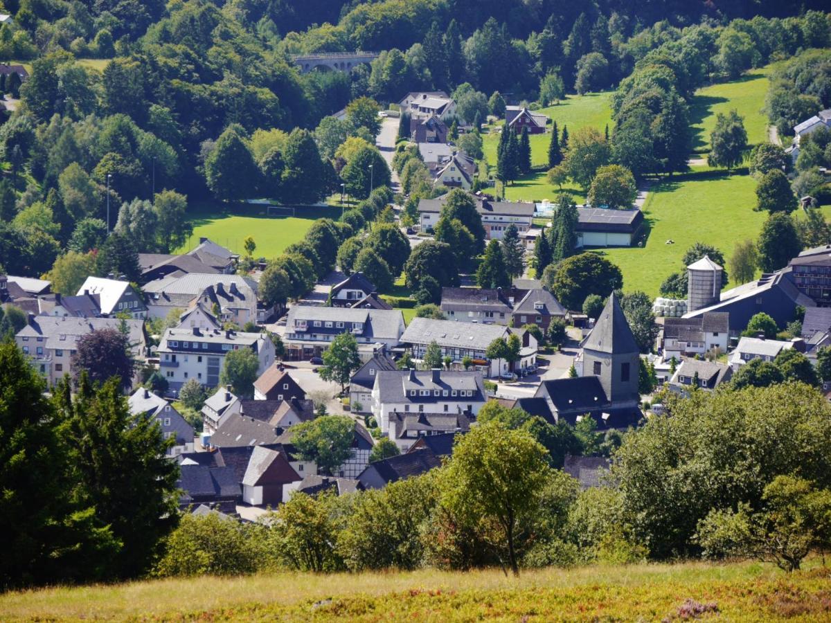 Fewo Blumes Bergfrieden Mit Meinecardplus Willingen  Kültér fotó
