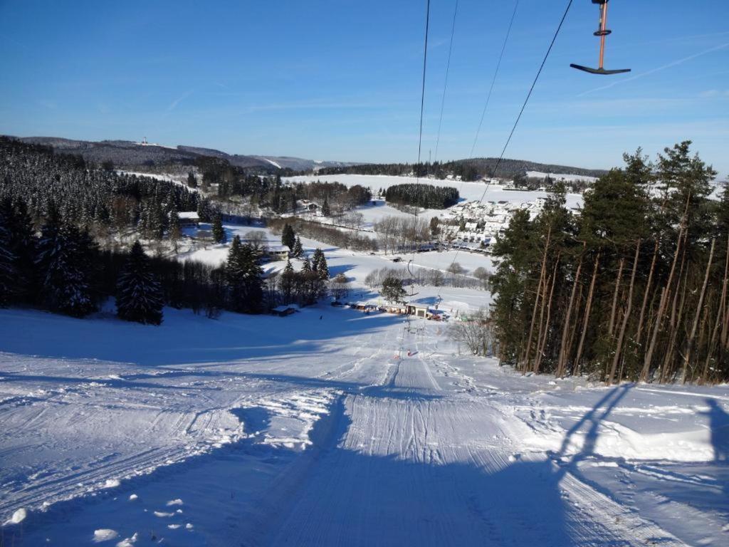 Fewo Blumes Bergfrieden Mit Meinecardplus Willingen  Kültér fotó
